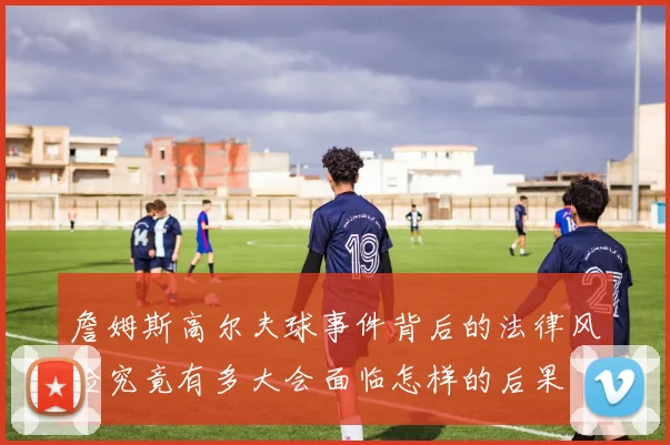 詹姆斯高尔夫球事件背后的法律风险究竟有多大会面临怎样的后果