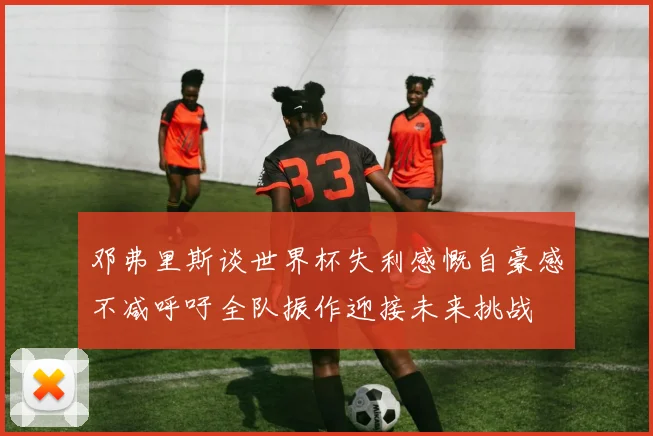 邓弗里斯谈世界杯失利感慨自豪感不减呼吁全队振作迎接未来挑战
