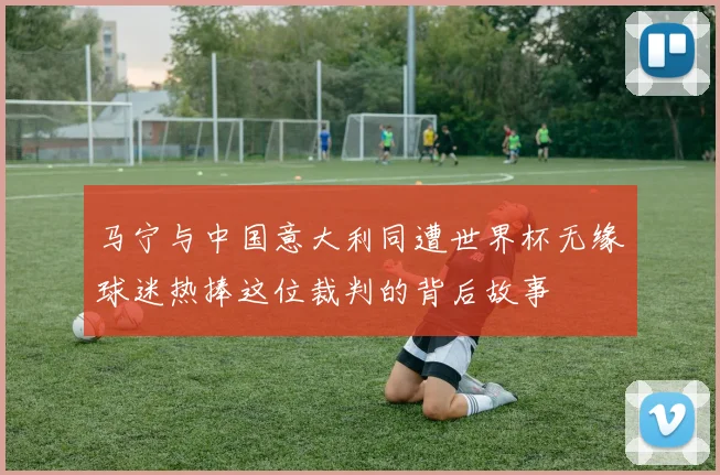 马宁与中国意大利同遭世界杯无缘球迷热捧这位裁判的背后故事